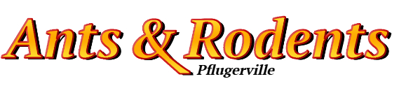 Pflugerville Ant Exterminator & Rodent Control Company Logo